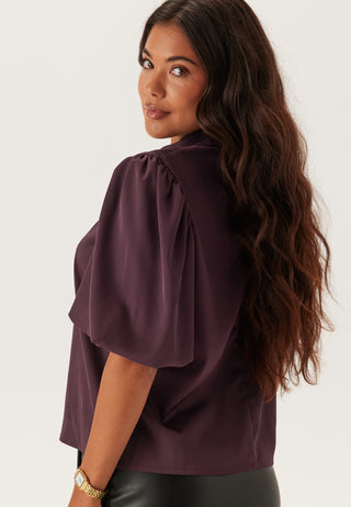 Chimney Collar Puff Sleeve Blouse